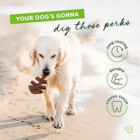 Benebone Fishbone Durable Dog Chew Toy for Aggressive Chewers, Real Fish 4 Benebone Fishbone Durable Dog Chew Toy for Aggressive Chewers