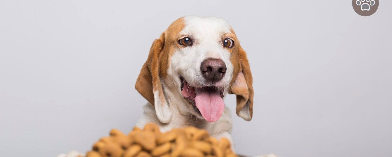 Keep Your Pet Healthy and Happy with the Best Pet Food on the Market